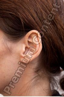 Ear texture of street references 373 0001